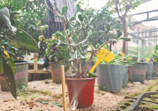 顺昌县实验小学“八戒”灌溉助手在作业。王琦 摄 顺昌县实验小学“八戒”灌溉助手在作业。王琦 摄